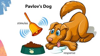 Pavlovs Dog experiment  Classical conditioning theory  Respondent conditioning [upl. by French]