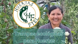 Trampas ecológicas para Huertos Urbanos  Empezando con tomates en Huerta [upl. by Jacoba]