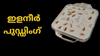 ഇളനീർ പുഡ്ഡിംഗ് ഇതുപോലെ ഒന്ന് ഉണ്ടാക്കി നോക്കൂ elaneer pudding recipe tender coconutpudingshorts [upl. by Notsud477]