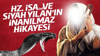 Şahmaran Türkçe dublaj izle full 1080p kalite [upl. by Anal571]