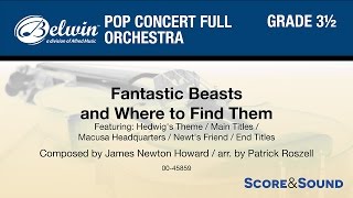 Fantastic Beasts and Where to Find Them arr Patrick Roszell – Score amp Sound [upl. by Aliuqehs]