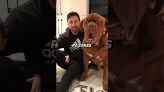 ⚽ ¡Messi abandonó a su perro en Europa 😭  fútbol 283 [upl. by Buschi]