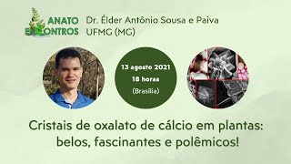 Cristais de oxalato de cálcio em plantas belos fascinantes e polêmicos [upl. by Ferd]