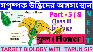 ফুলের বিভিন্ন অংশ  Parts of typical flower  plant morphology  part 58  target biology [upl. by Starbuck]