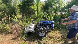 Bittante Flail mower Pulverizing Thorns and brambles [upl. by Bonine600]