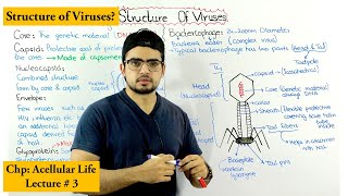 Structure of bacteriophage [upl. by Madra]