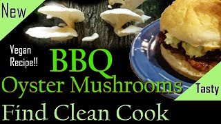 Find Clean Cook  Oyster Mushroom Recipe Pleurotus Ostreatus  Vegan Recipe wild oyster mushrooms [upl. by Hewett195]