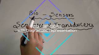 Bio Sensor explanation with Diagramatic representation [upl. by Onid]