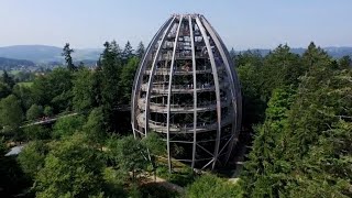 VOM WALD das BESTE  die Ferienregion Nationalpark Bayerischer Wald stellt sich vor [upl. by Ahsiemal]