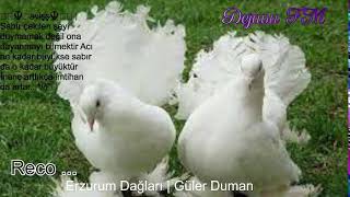 Dejavu🕊 FM • Canlı İstek Yayını  Online Radyo Dinle [upl. by Ennovehs163]