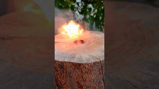 Bushcraft Survival Skills💥🔥camping outdoors asmrvideo [upl. by Crispen]