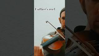 Colliers reel fiddle trad irishmusic [upl. by Yelekreb]