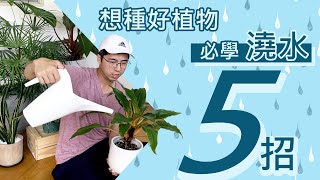 種植物先學澆水！重點五大招 [upl. by Esnofla430]