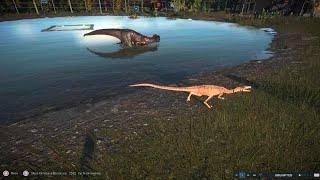 Jurassic World Evolution 2 coelophysis hunting a compy [upl. by Agarhs91]