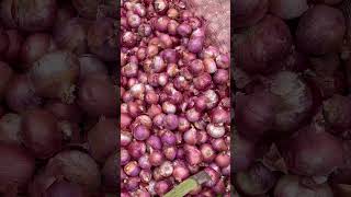 Onions  ulligadda  Bowenpally vegetable market onion viral trending vegetables shorts video [upl. by Anaek207]