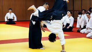 Amazing Aikido in Taiwan [upl. by Teak]