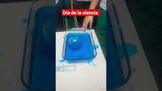 Experimentos para feria de ciencias [upl. by Htidra]