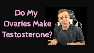 Do My Ovaries Make Testosterone [upl. by Amerd10]