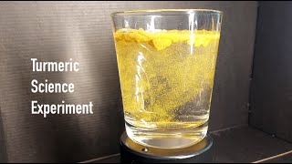 Captivating Brownian Motion Experiment with Water and Turmeric  Timelapse HD [upl. by Rafaela92]