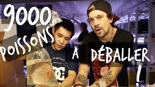 9000 POISSONS DAQUARIUM À DÉBALLER  VLOG TOOPET [upl. by Savick]