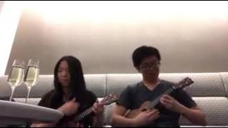 Iki Town Night Theme Pokemon SunMoon  Ukulele Duet [upl. by Willie]