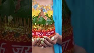 chogada song song navratri viralvideo [upl. by Rinum]