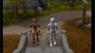 Were Going On A Bear Hunt In Runescape [upl. by Yanehc]