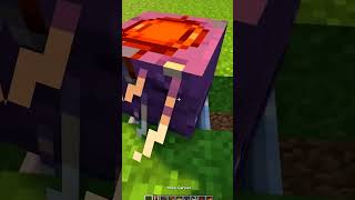 La MEILLEUR BALANCOIRE MINECRAFT  🤯 Minecraft Shorts [upl. by Einamrej160]