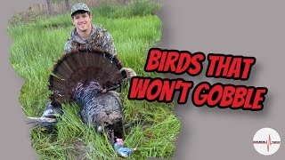 Arkansas Turkey hunt  Hunting non gobbling turkeys [upl. by Grogan]