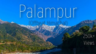 PALAMPUR │ PALAMPUR TOURIST PLACES │ OCTOBER │ BEST OFFBEAT DESTINATION IN HIMACHAL PRADESH [upl. by Nnaeus956]