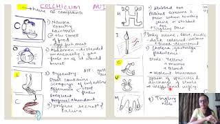 COLCHICUM AUTUMNALE  drug for dysentry and rheumatism  Materia Medica [upl. by Lynnet]