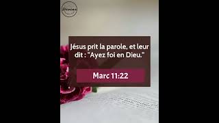 Verset Biblique Du Jour  Marc 1122  Exhortation de Jésus à avoir une foi sans faille en Dieu [upl. by Seldon269]