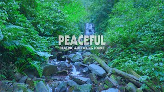 🌿 Relaxing Nature Sound  Calming Waterfall in a Tranquil Forest 🌊 Perfect for Stress Relief amp Relax [upl. by Ahsote]