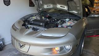 1999 LS1 swapped Firebird Head amp Cam 1st start [upl. by Sol]