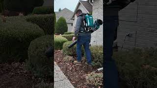 💪🍃 Makita CBU04Z Backpack Blower A MustHave for Any Pro Landscaper [upl. by Fishback443]