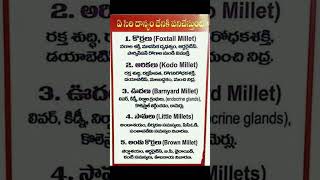 millet names in telugu and englishmillet names in englishmillets [upl. by Naujahs153]