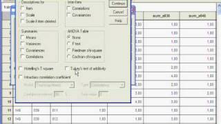 Uso do SPSS para calcular a consistência interna confiabilidade [upl. by Yartnod]