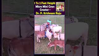 Goshala video farming animals india youtube dance viral trending [upl. by Fabio]