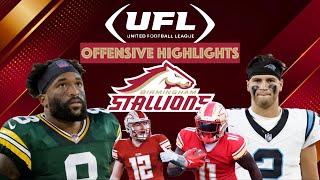 UFL Birmingham Stallions Offense Highlights [upl. by Annaihr394]