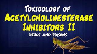 Toxicology of Acetylcholinesterase Inhibitors II  Drugs and Poisons [upl. by Nnayar]