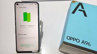 How to update software in oppo A96A55  oppo A76 software update kaise kare  Software update [upl. by Haelak]