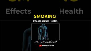 smoking affects sexual Health sex shorts science shorts smokingboy [upl. by Socem]