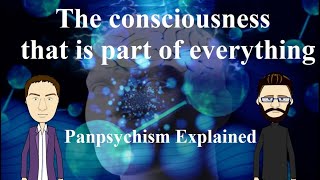 Panpsychism Explained [upl. by Anitrak]