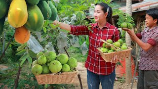 2 chefs collect sweet papaya enjoy braised pork Pick seedless guava and eat  Daily lifestyle [upl. by Adriena]