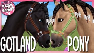 Das GOTLAND PONY ist da  PFERDEKAUF  erster Eindruck 🐴 STAR STABLE ONLINE 479 [upl. by Aihsekel]