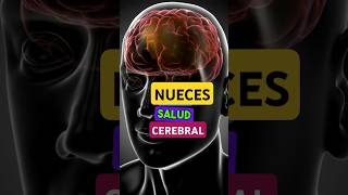 NUECES amp CEREBRO 5 beneficios de las NUECES para la salud cerebral shorts [upl. by Shanney828]