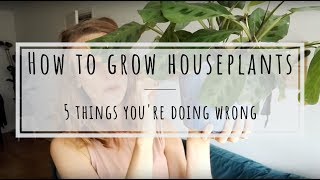 How to grow houseplants 5 things you’re doing wrong [upl. by Henryk]