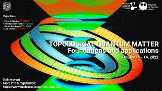 Axial anomaly and axial pseudoelectromagnetic fields in magnetic Weyl semimetals [upl. by Wightman506]