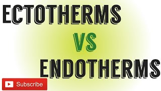 Ectotherms Vs EndothermsDifference between Ectotherms and endotherms [upl. by Siroval]