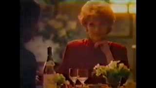 French Wine  The affordable pleasure advert from the 80s [upl. by Acirretal]